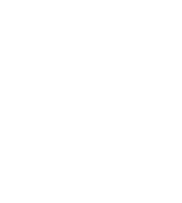 Website block icon like