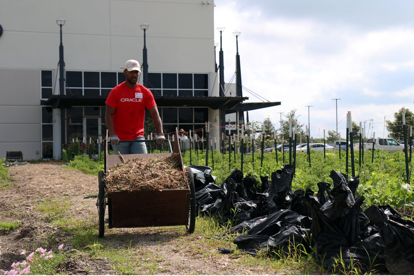 Closing the Meal Gap: Oracle and Central Texas Food Bank Partner to End Hunger