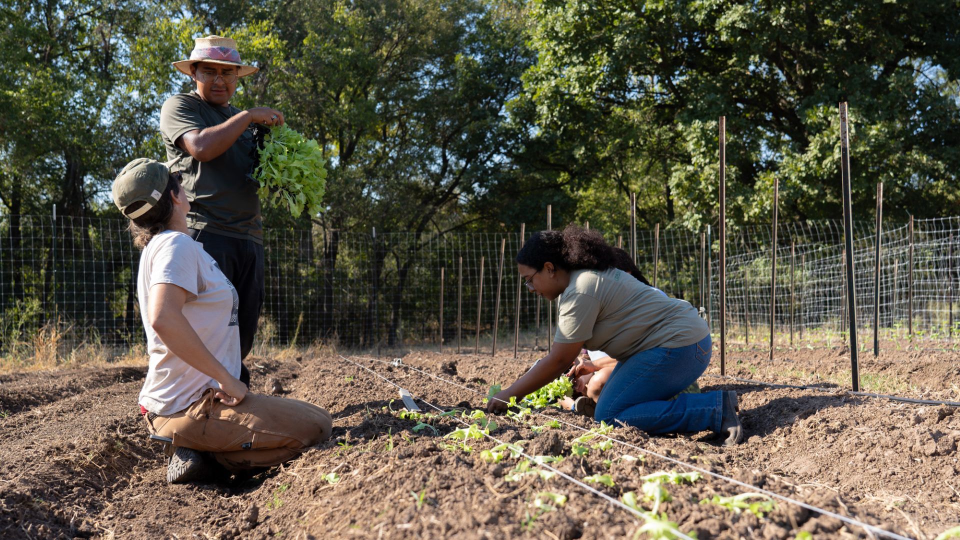 Planting Seeds of Change: How Urban Roots and Central Texas Food Bank Strengthen Communities Together 