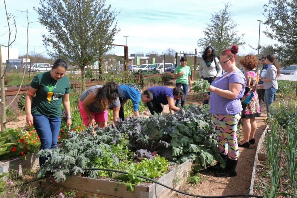 Produce of the Month Class Expands Gardening and Cooking Skills