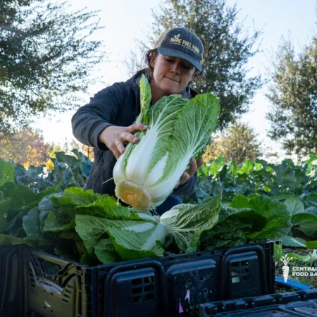 CTFB Garden Manager at Fresh Harvest Farm