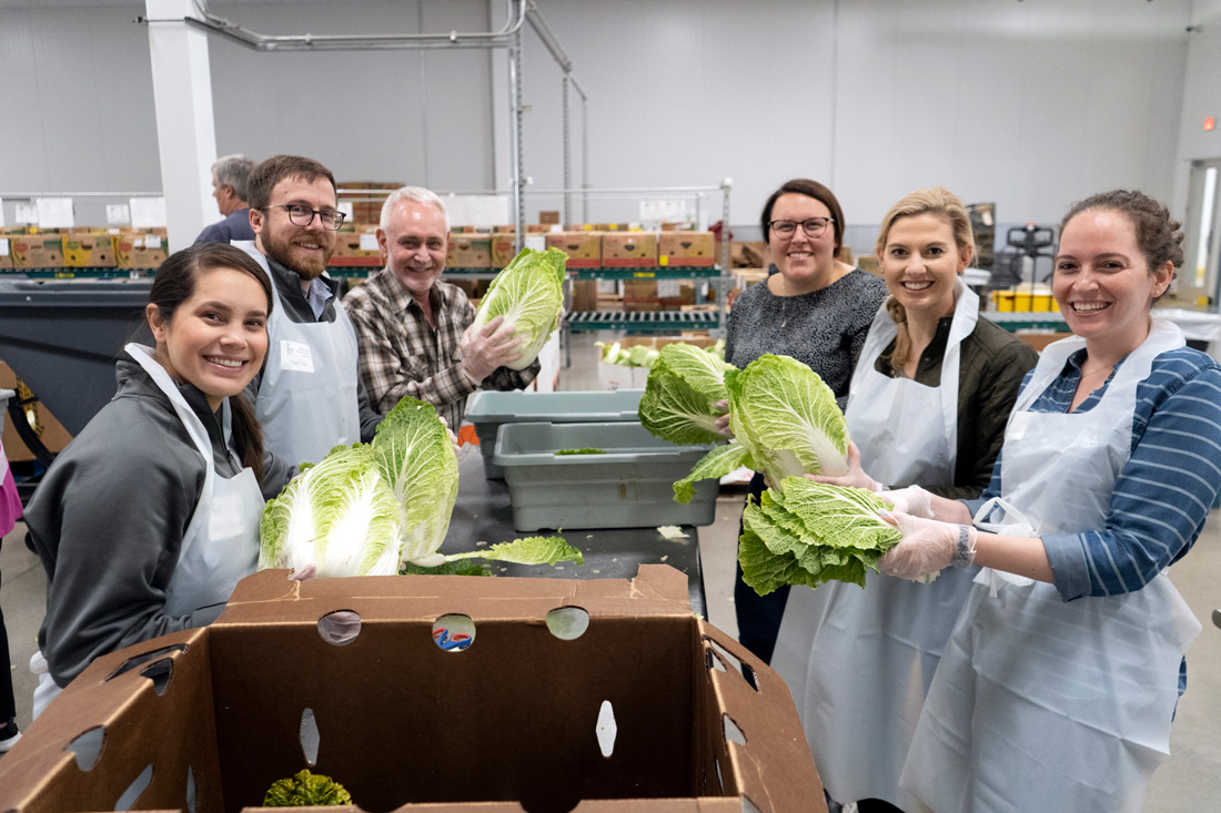Law Firm Supports Garden Improvement Plans